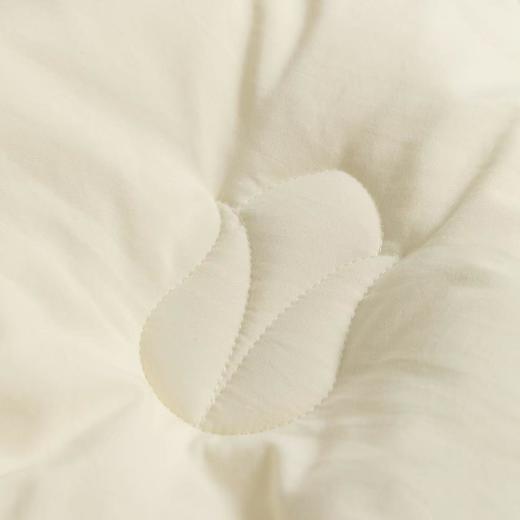 【春上新】10楼堂皇      玉米暖绒双胎被200x230cm胎重1000+2000g   吊牌价1590元  活动价299元 商品图2