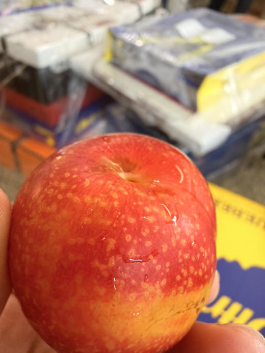 樱桃李来咯！鲜甜可口 回味悠长 商品图1