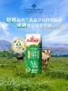 MM 山姆 安佳（Auchor）新西兰进口 有机全脂纯牛奶 250ml*24 商品缩略图1