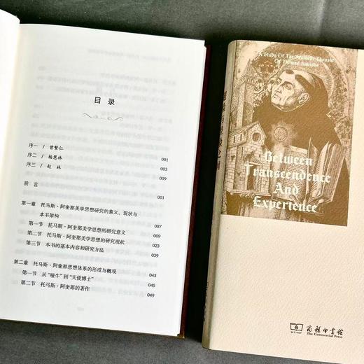 超验与经验之间:托马斯·阿奎那美学思想研究 商品图8