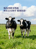 MM 山姆 Member's Mark 西班牙进口 无乳糖全脂牛奶（调制乳）200ml*30 商品缩略图3