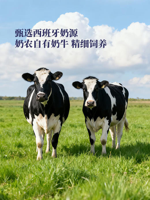 MM 山姆 Member's Mark 西班牙进口 无乳糖全脂牛奶（调制乳）200ml*30 商品图3