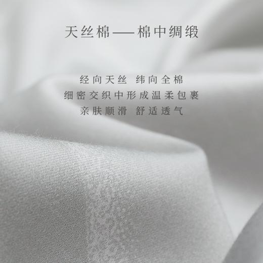 【春上新】10楼堂皇      天丝四件套---波光潋滟 （奶灰色）    吊牌价2190-2490元  活动价599-699元 商品图1