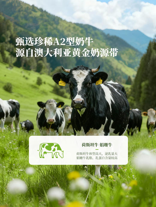 MM 山姆 Member's Mark A2型β-酪蛋白全脂牛奶（灭菌乳）250ml*24 商品图2