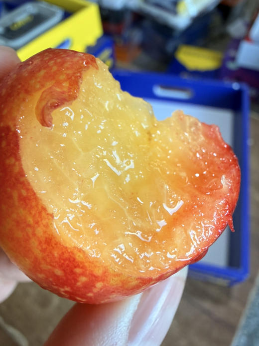 樱桃李来咯！鲜甜可口 回味悠长 商品图2