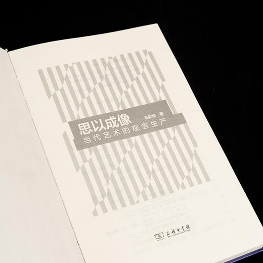思以成像：当代艺术的观念生产 商品图8