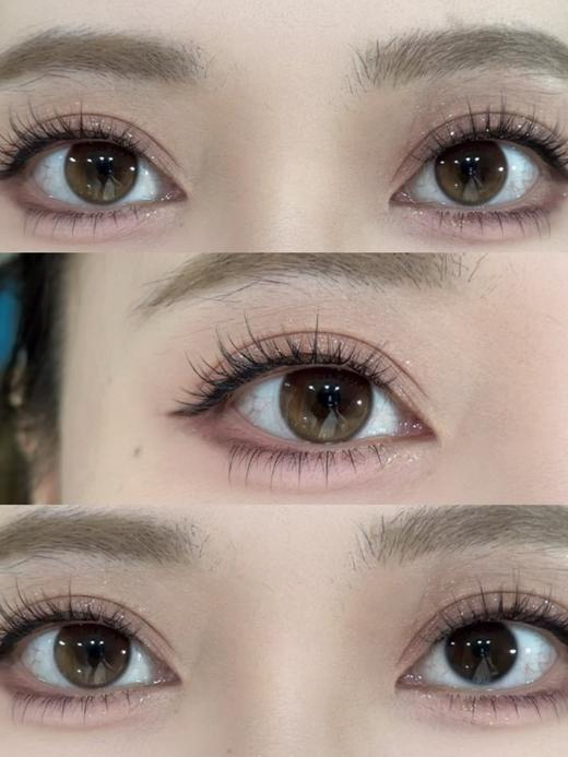 Wecute半年抛·暮色棕/栗子咖/豆豆黑/蔷薇紫·14.2mm中等着色·2片 商品图2