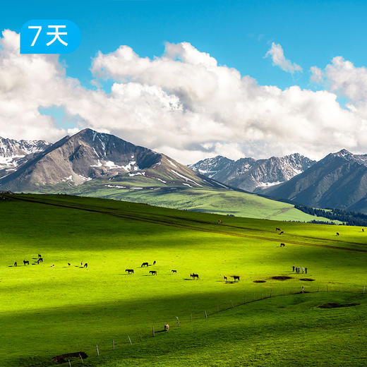 第五届喀拉峻徒步大会｜独家升级线路｜两版可选 商品图2