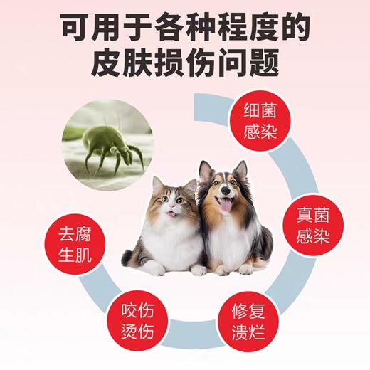 九一金方 抑菌粉 犬猫通用 烧伤烫伤外伤手术趾间炎 促进皮肤愈合 温和不刺激 10g/盒 商品图4