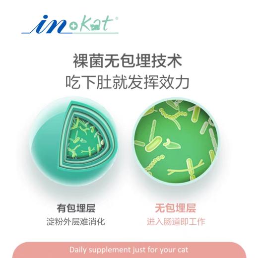 麦德氏益生菌猫咪专用 肠胃呵护 改善拉稀软便 鲣鱼口味 2gx10袋/盒 商品图4