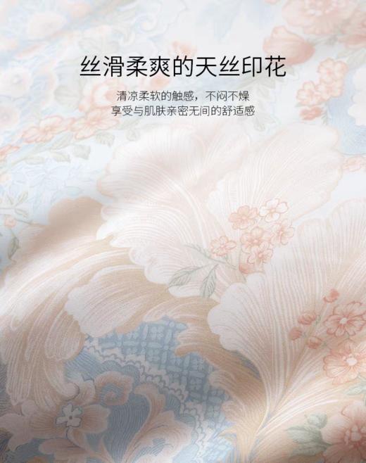 罗卡芙ROYALCOVER帕克斯顿花园四件套810426072 商品图1