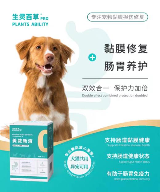 生灵百草  美敛新液 猫狗通用 止泻 胃肠粘膜修复 增强抵抗力 效果超好 35ml/瓶 商品图2