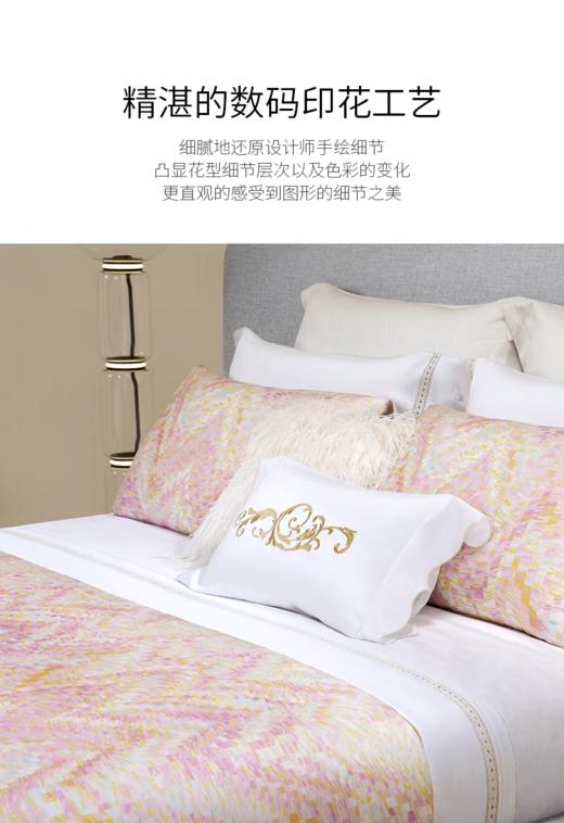 罗卡芙ROYALCOVER波洛克之梦四件套810425032 商品图2