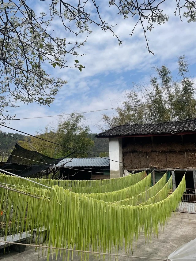 生态贡菜干250克｜云南大理高山不打药不用化肥种植 无农残 不染色