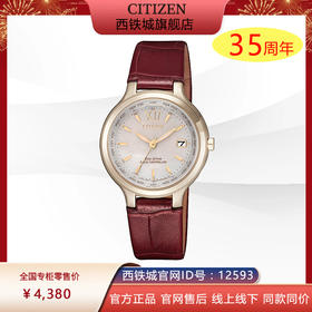 西铁城日本官方正品复古皮带光动能万年历电波女表EC1173-10D