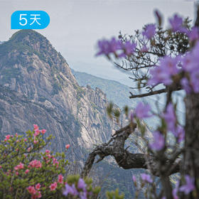 春季黄山徒步大会｜36公里入门级徒步 赏高山杜鹃 5日