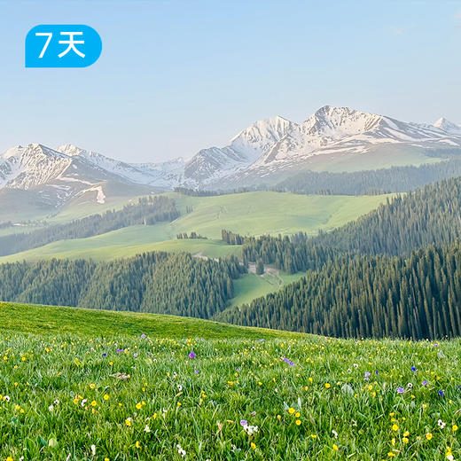 第五届喀拉峻徒步大会｜独家升级线路｜两版可选 商品图7