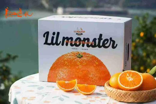 周三取货：【蜂蜜橙礼盒】一箱毛重8斤左右，鲜甜多汁！ 商品图0