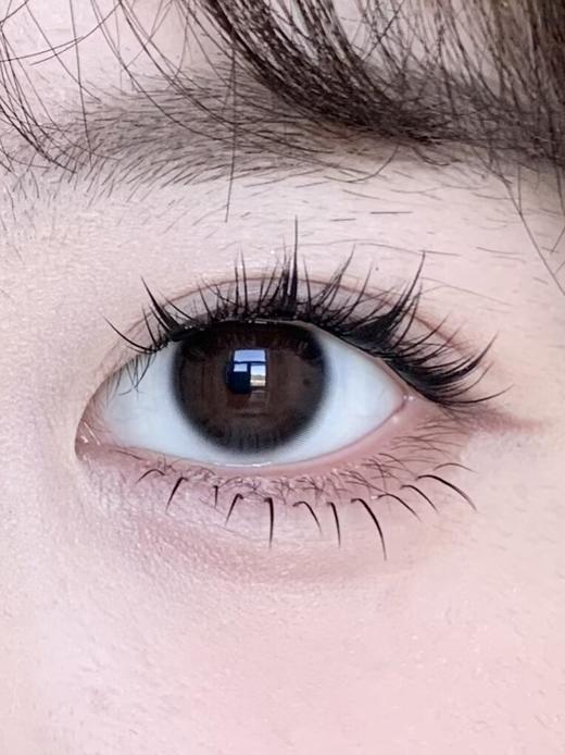 Clairecolor半年抛美瞳 天生好命 14.0mm 商品图0