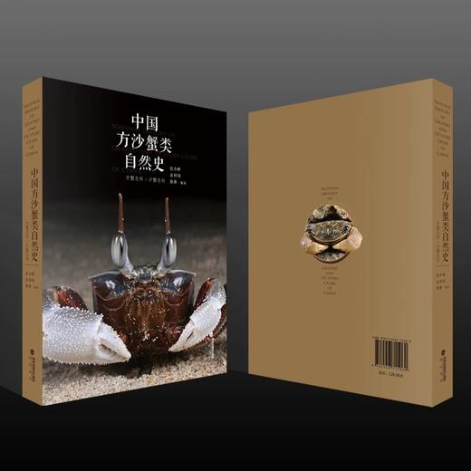 《中国方沙蟹类自然史》张小蜂 袁梓铭蒋维著 海峡书局 顽主驿【官方正版】 商品图3