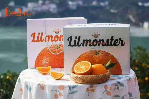 周三取货：【蜂蜜橙礼盒】一箱毛重8斤左右，鲜甜多汁！ 商品图2