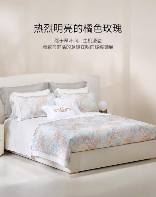 罗卡芙ROYALCOVER帕克斯顿花园四件套810426072 商品图2