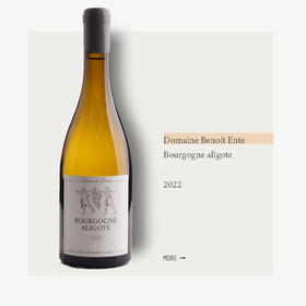Domaine Benoit Ente Bourgogne aligote 2022伯努瓦昂特酒庄阿里高特干白葡萄酒2022