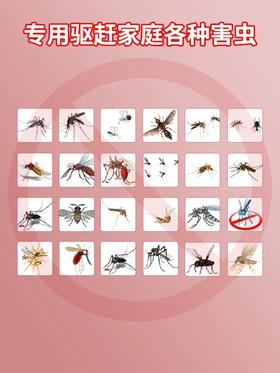 【示博士 百虫驱离精粹盒】120G一盒，害虫克星，植物萃取，母婴可用，简单便携的驱百虫神器！