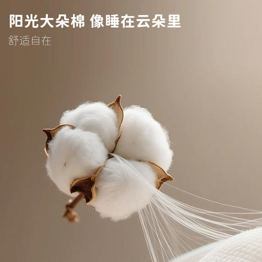 本屋创品幼儿园被子三件套午睡七件套婴童宝宝儿童入园被褥六件套 商品图3