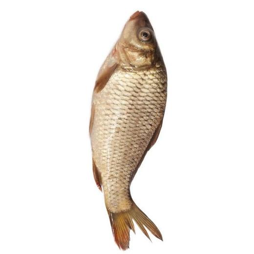 A弗晟吊水鲤鱼（约1200g）多退少补（默认不收拾，收拾请备注） 商品图1