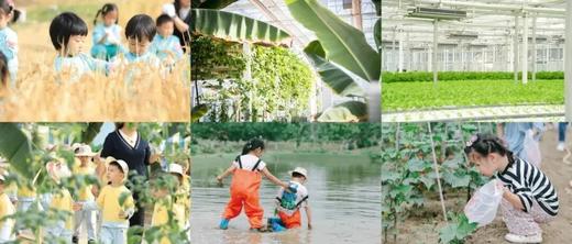 大地新生季｜醒春派对，穿越一场农场魔法快乐之旅 商品图2