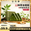 【醒粉福利59.9元3块】古方序乌斯曼草精油洗头皂120g*3盒 商品缩略图0