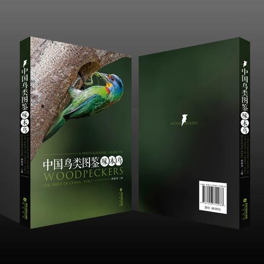 《中国鸟类图鉴（啄木鸟）》 孙家杰主编 海峡书局【官方正版 48小时发货】 商品图1