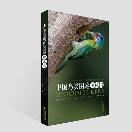 《中国鸟类图鉴（啄木鸟）》 孙家杰主编 海峡书局【官方正版 48小时发货】 商品图0