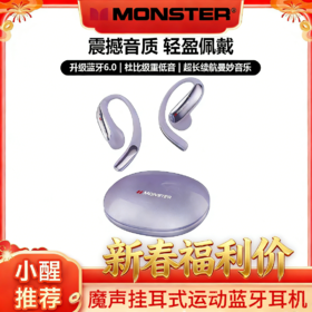 魔声·新款蓝牙挂耳式低延迟运动耳机