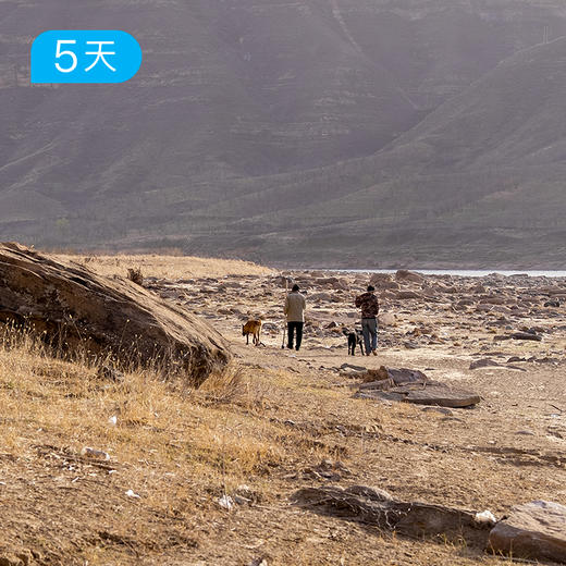 晋南黄河古道｜人文徒步26公里 一次走遍晋南精华古建筑 5日 商品图11