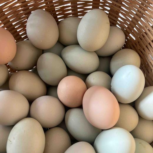 请输入￼红安县正宗土鸡蛋100个鸡蛋199元 商品图2