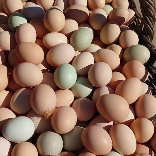 山林散养鸡蛋60枚99元全国包邮（限时促销） 商品图1