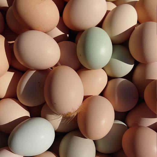 山林散养鸡蛋60枚99元全国包邮（限时促销） 商品图0