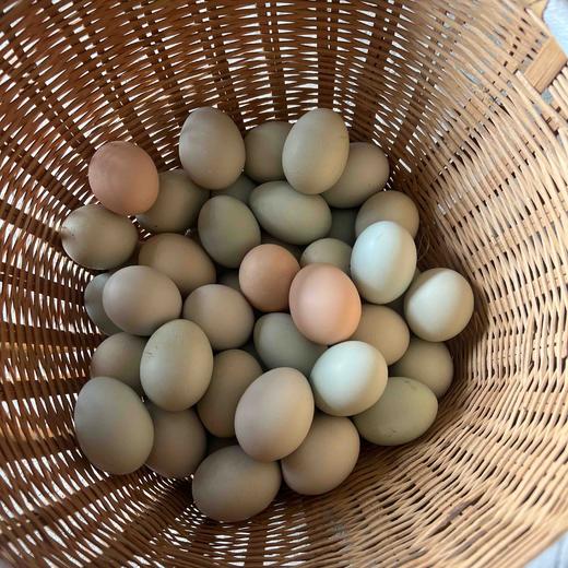 请输入￼红安县正宗土鸡蛋100个鸡蛋199元 商品图1