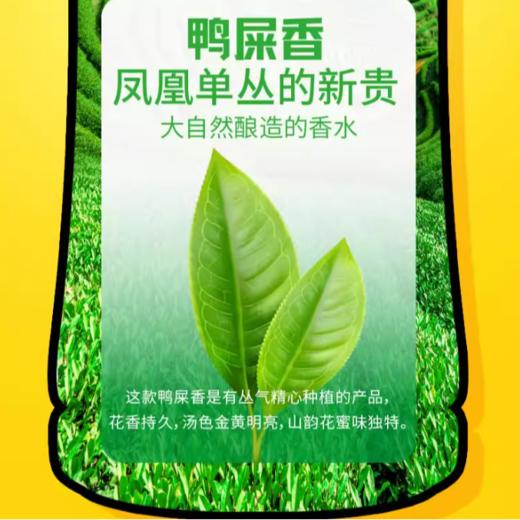有丛气 鸭屎香乌龙茶饮料{青柠味} 0糖0脂肪608ml/瓶 商品图4