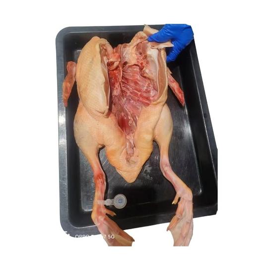 湘佳仔水鸭(约2000g)多退少补 整鸭 商品图0