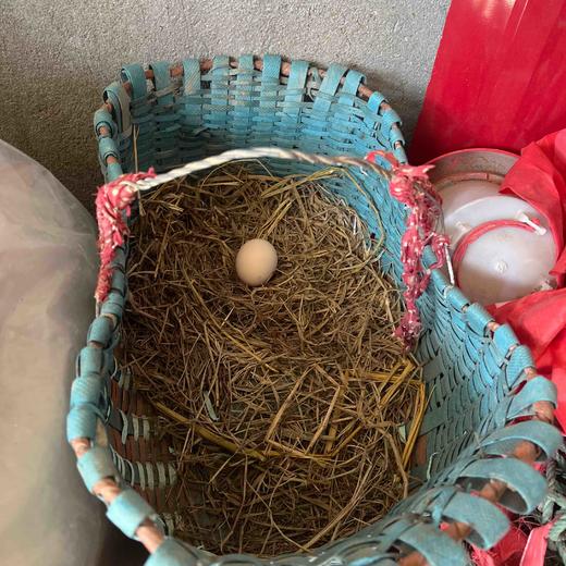 请输入￼红安县正宗土鸡蛋100个鸡蛋199元 商品图5