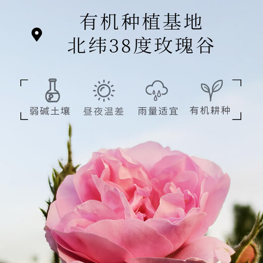 S光阴小驻有机种植大马士革玫瑰精露 买大送小 头道饱和纯露 补水面膜 细嫩肌肤 商品图5