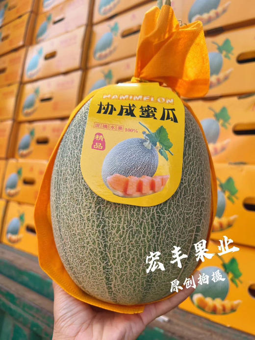 【宏丰精选】哈蜜瓜 脆甜蜜瓜果肉香甜  活动价6.8一斤 商品图8