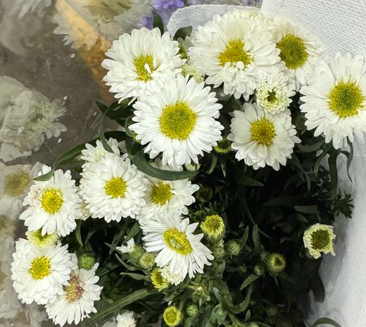 配花 | 紫鸢白 商品图0