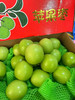 宏丰精选  苹果枣，脆甜，嫩甜化渣 多汁   活动价12.8一斤 商品缩略图3