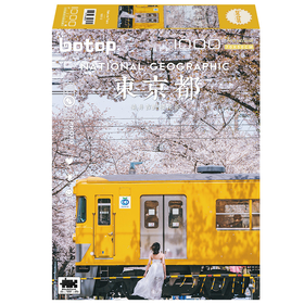 BOTOP拼图-Sakura Trainbj