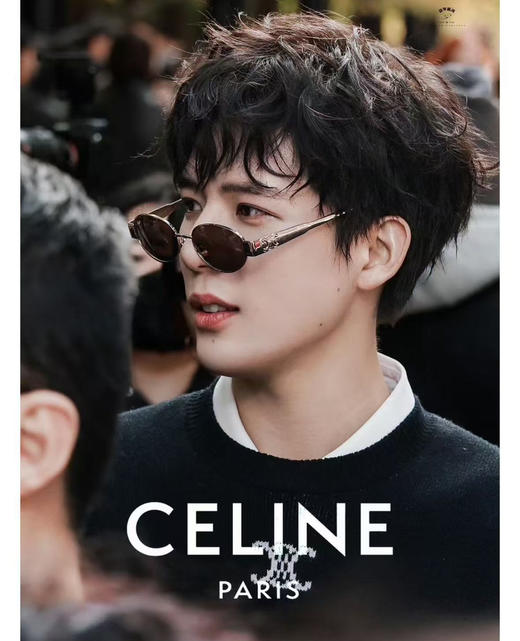 ce凯旋门太阳镜墨镜 商品图1