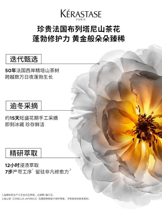 【中小样】卡诗山茶花经典香氛护发精油30ml 商品图5